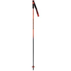 Rossignol Hero Carbon Skistave